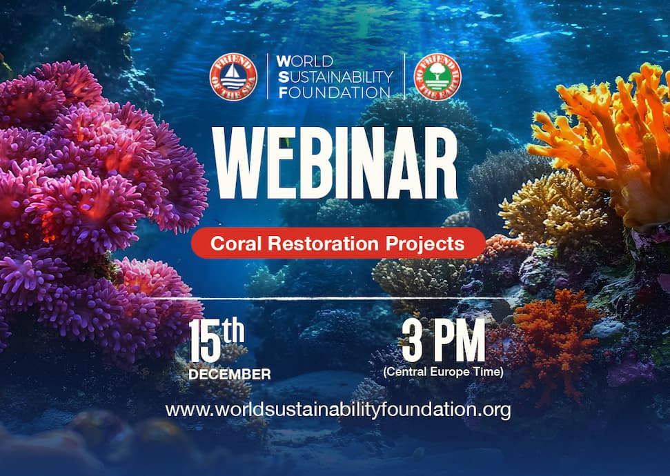 Coral Restoration della World Sustainability Foundation