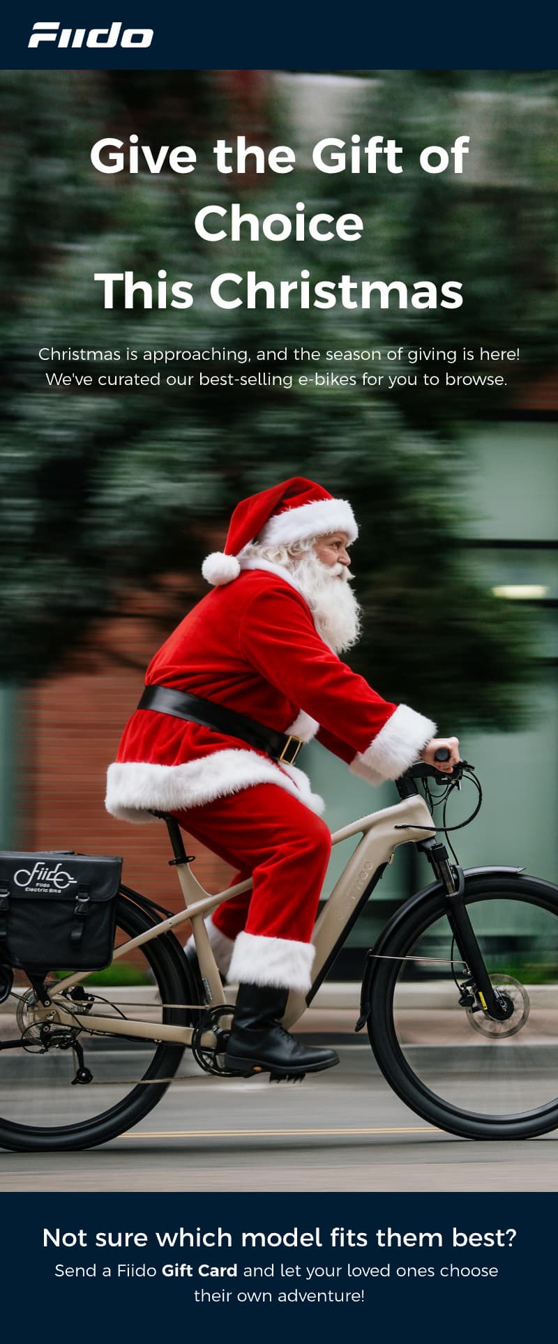 Fiido Christmas Sale