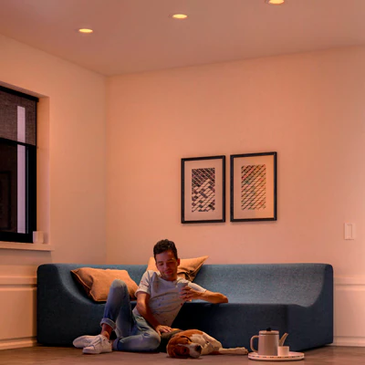 A casa da solo? Rendi tutto più luminoso e festoso