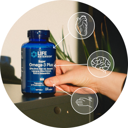 Flacone Life Extension Super Omega-3 Plus posizionato su una superficie esposta alla calda luce solare, con icone illustrate che evidenziano i benefici per cuore, cervello e articolazioni.