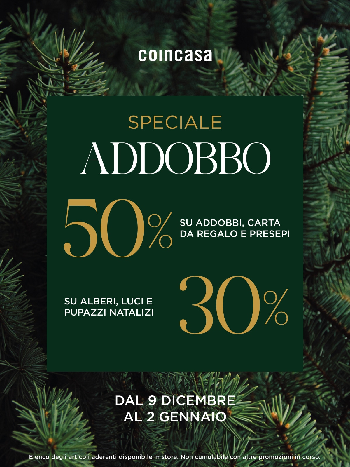 Coincasa Speciale Addobbo