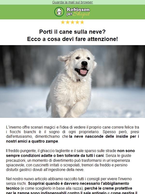 🐕 ❄️ Cane e neve: tutti i segreti per un inverno felice e protetto