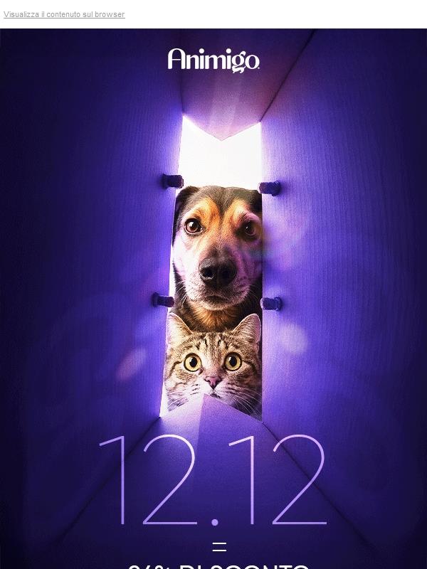 Scopri L’Offerta 12.12 ✨ 24% Di Sconto ! 🐶😻