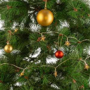 Ghirlanda LED da interno 5M [HO-XMAS-020-IP20-5M-WW]