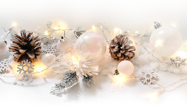 Luci e decorazioni a LED per questo Natale