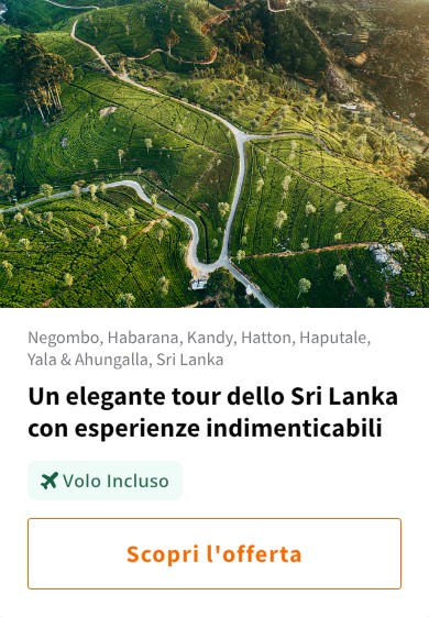 Un elegante tour dello Sri Lanka con esperienze indimenticabili