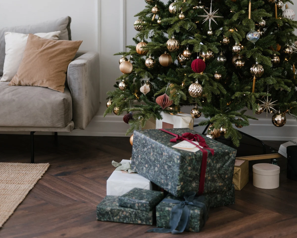 Grafiche mail promo deesup (17)