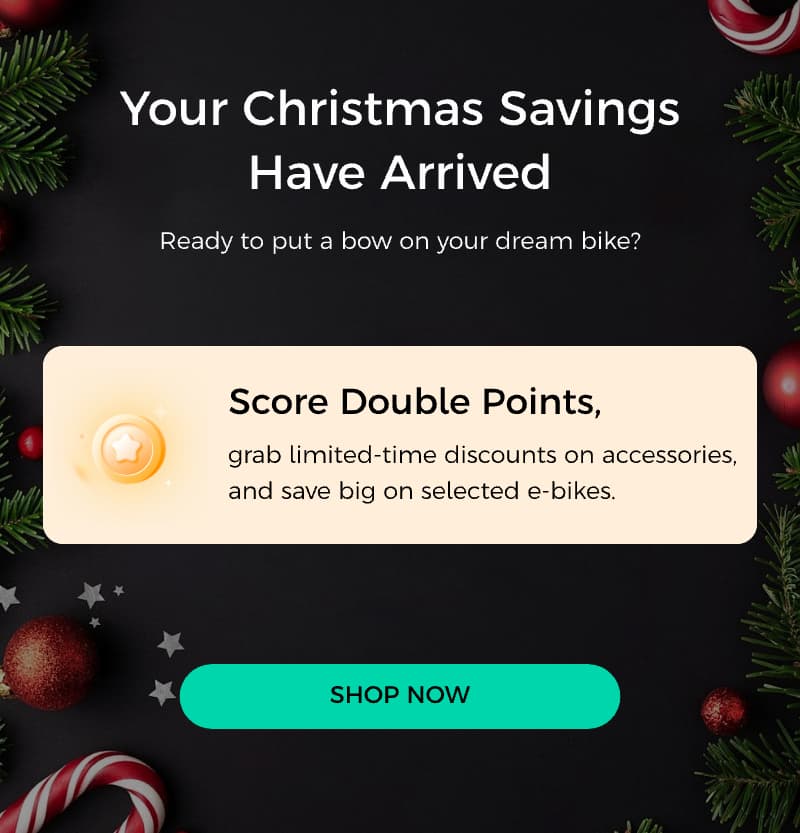 Fiido Christmas Sale