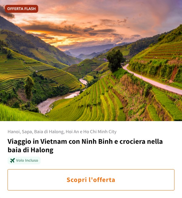Viaggio in Vietnam con Ninh Binh e crociera nella baia di Halong
