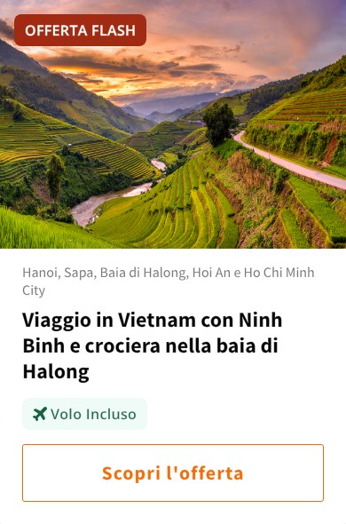 Viaggio in Vietnam con Ninh Binh e crociera nella baia di Halong