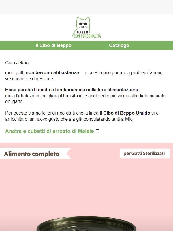 Il tuo gatto mangia umido o secco?