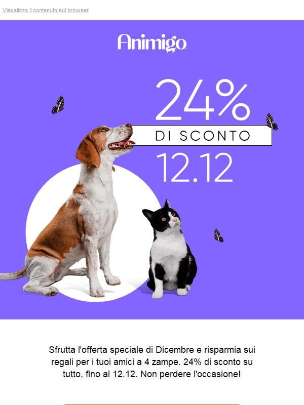 Ultime Ore, ⏳ Il 24% Sta Per Finire!
