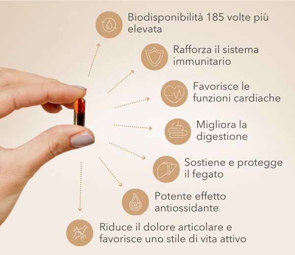 Avenobo Curcuma vantaggi