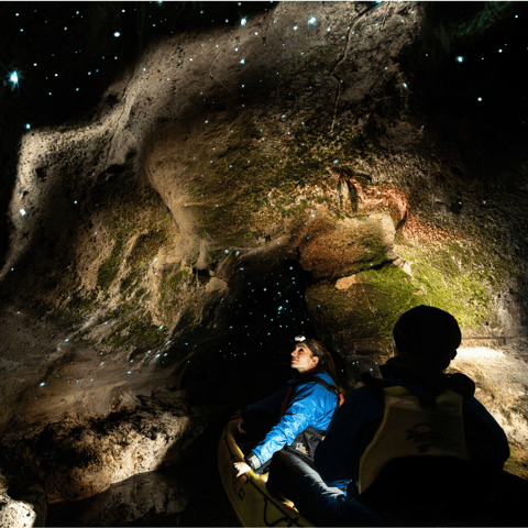Activity image: Rotorua: Tour in kayak con i vermi luminosi