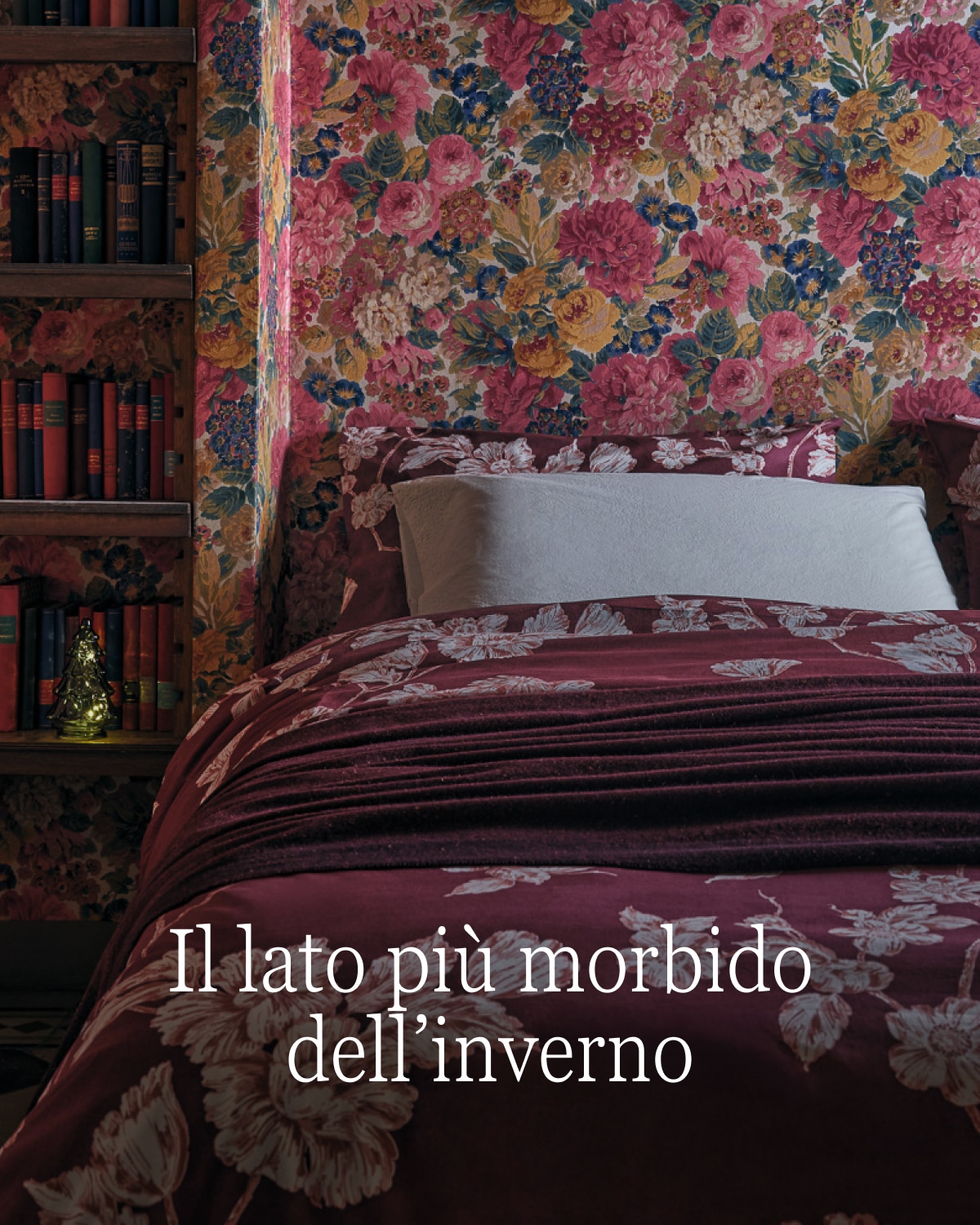 Coin, il lato più morbido dell’inverno