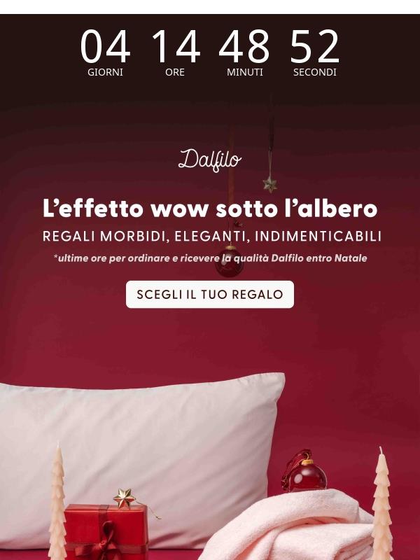⏰ Regala Dalfilo: il tempo stringe