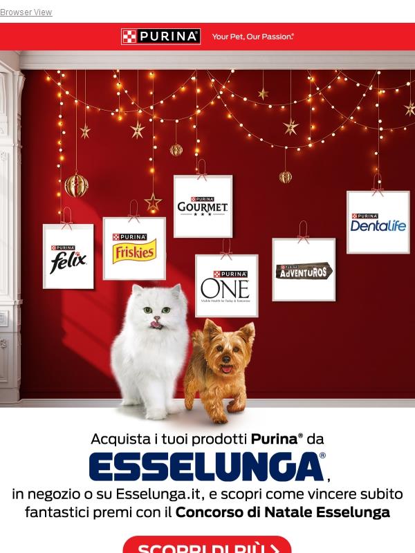 ✨ A Natale con Purina puoi vincere fantastici premi!