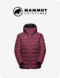 Mammut