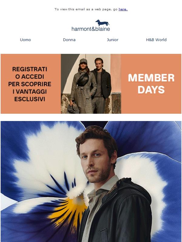 Last Call per i Regali di Natale