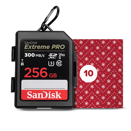 Custodia per scheda di memoria SanDisk Extreme PRO da 256 GB accanto a un quadrato festivo con un motivo a fiocchi di neve ripetuti e un numero 10.