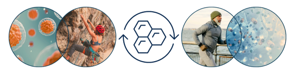 Immagini circolari che mostrano cellule e persone che fanno esercizi come arrampicata e corsa, a simboleggiare la connessione tra salute cellulare ed energia.