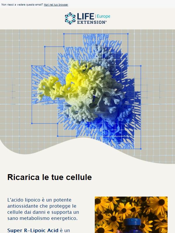Più energia cellulare e protezione antiossidante