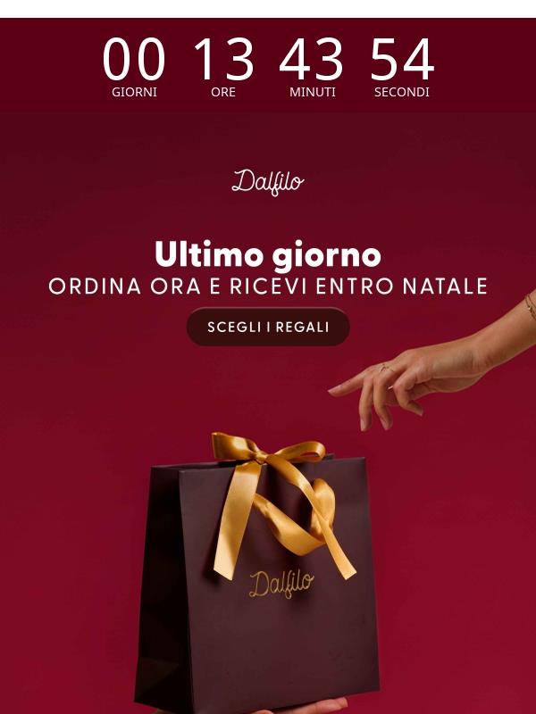 🚨 Ordina ora, ricevi entro Natale