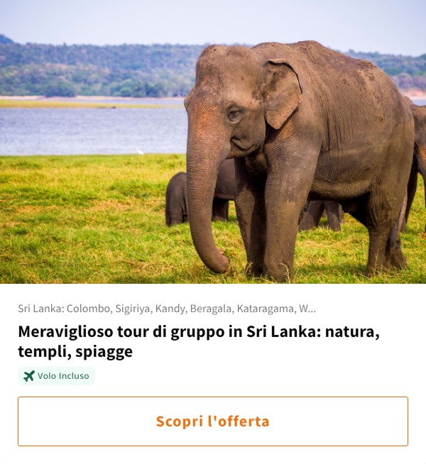 Meraviglioso tour di gruppo in Sri Lanka: natura, templi, spiagge
