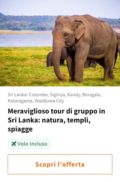 Meraviglioso tour di gruppo in Sri Lanka: natura, templi, spiagge