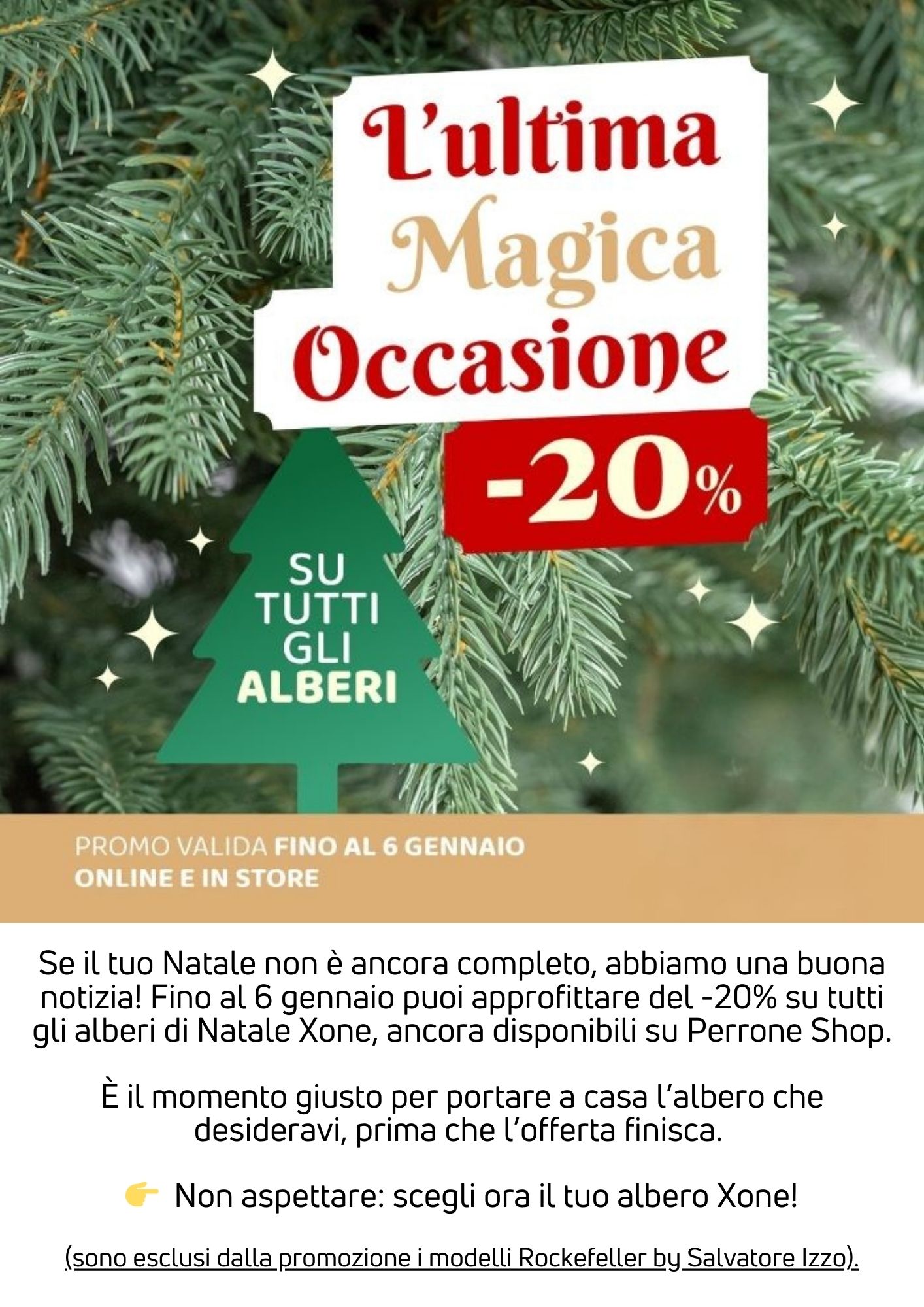 -20% su alberi di Natale Xone | Perrone Shop