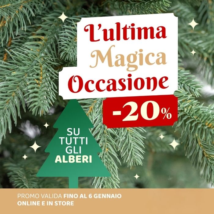 Piante artificiali Xone | Perrone Shop