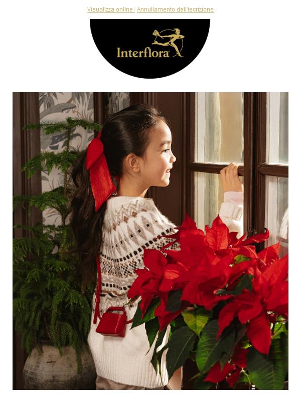 🎄 C’è ancora tempo per fare un regalo in tempo