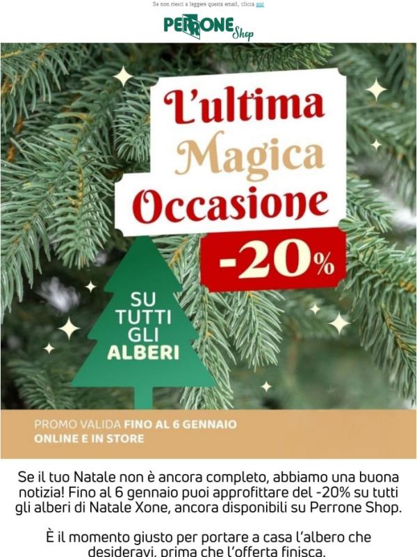 🎄 -20% su tutti gli alberi di Natale