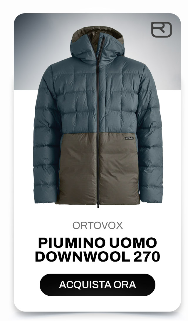 Piumino uomo Downwool 270