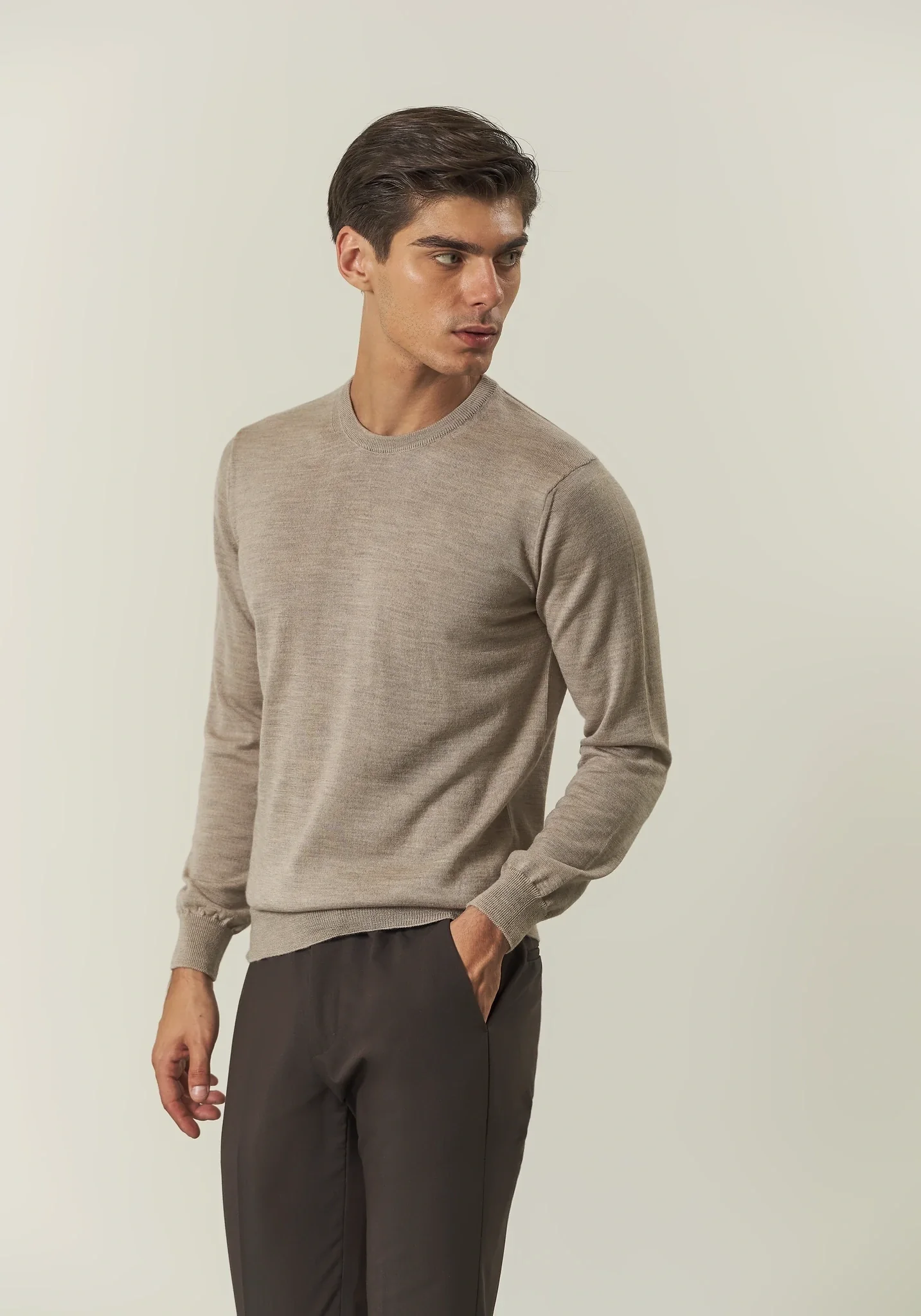 Image of Girocollo beige lana merinos Lana Gatto