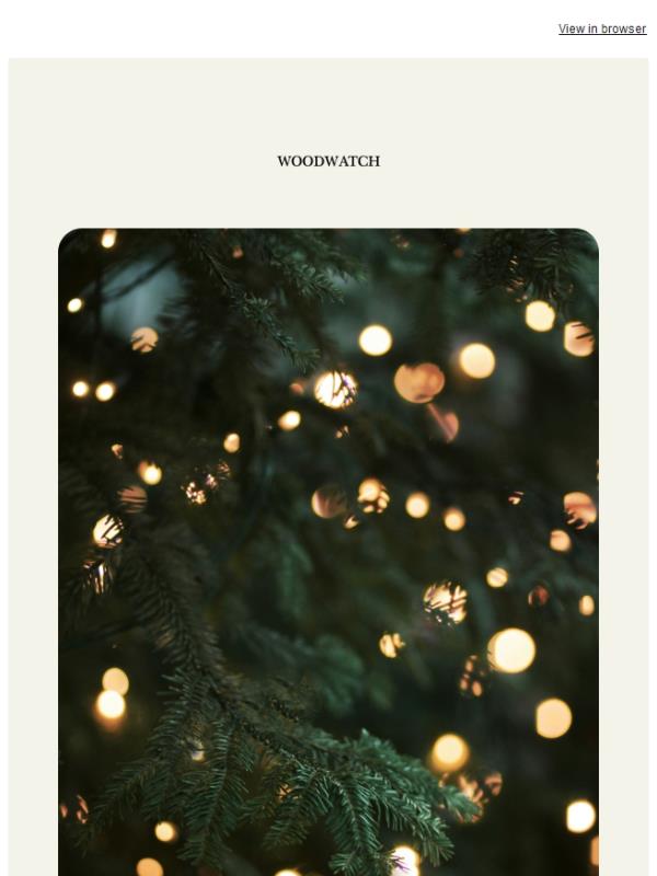 Things to do between Christmas & New Year 🌿