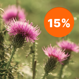 Fiori di cardo viola-rosati e un distintivo sconto arancione con la scritta "15%».