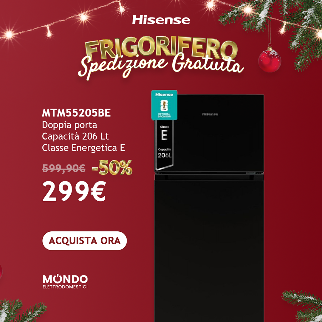 Hisense Frigorifero MTM55205BE Doppia porta Capacità 206 lt Colore Nero Classe Energetica E