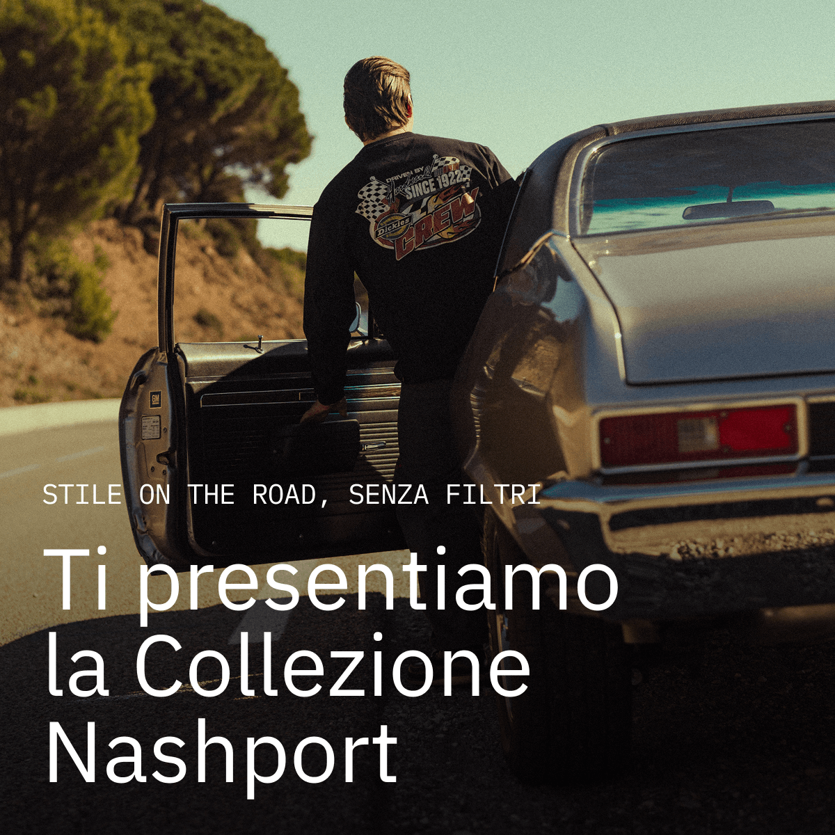 20251230_stories_Nashport_sust2