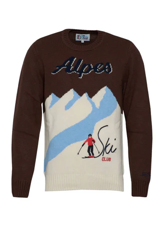 Maglia in Lana con Ricamo / Marrone