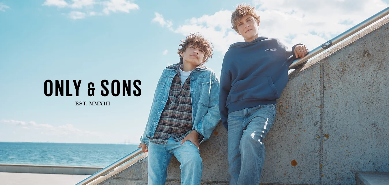 Due giovani seduti su gradini di cemento. Uno indossa una giacca di jeans e una camicia a quadri. L'altro indossa una felpa blu con cappuccio e jeans.