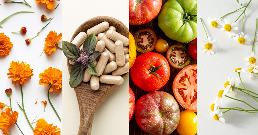 Piatto di fiori arancioni e bianchi, pomodori freschi e un cucchiaio di legno riempito con capsule di integratore beige, che rappresentano ingredienti naturali e nutrimento.