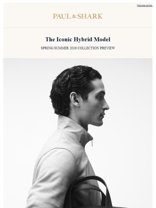 The Iconic Hybrid Model