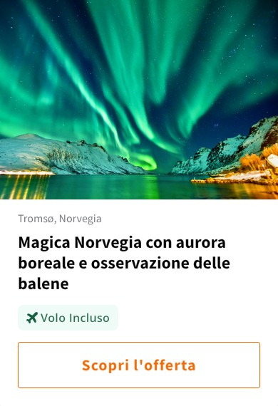 Magica Norvegia con aurora boreale e osservazione delle balene