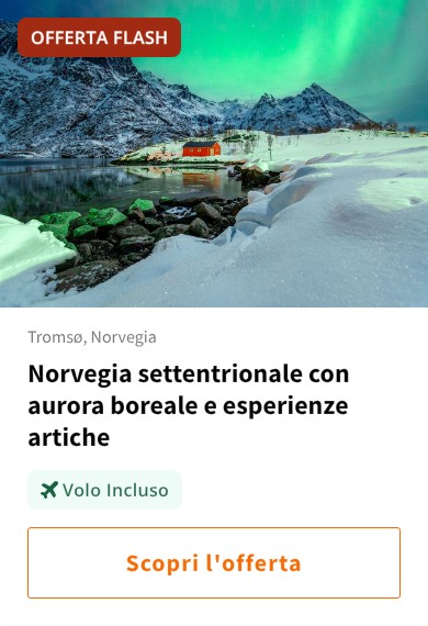 Norvegia settentrionale con aurora boreale e esperienze artiche