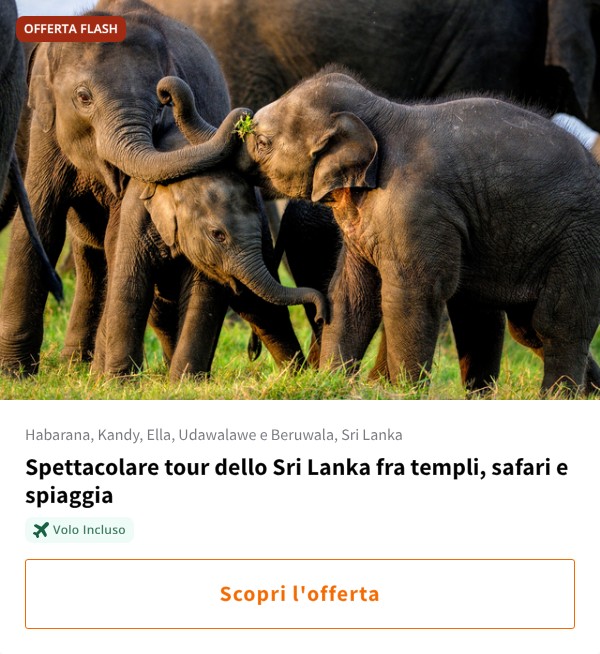 Spettacolare tour dello Sri Lanka fra templi, safari e spiaggia