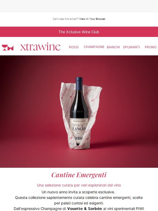 Cantine emergenti: una selezione curata per veri esploratori del vino