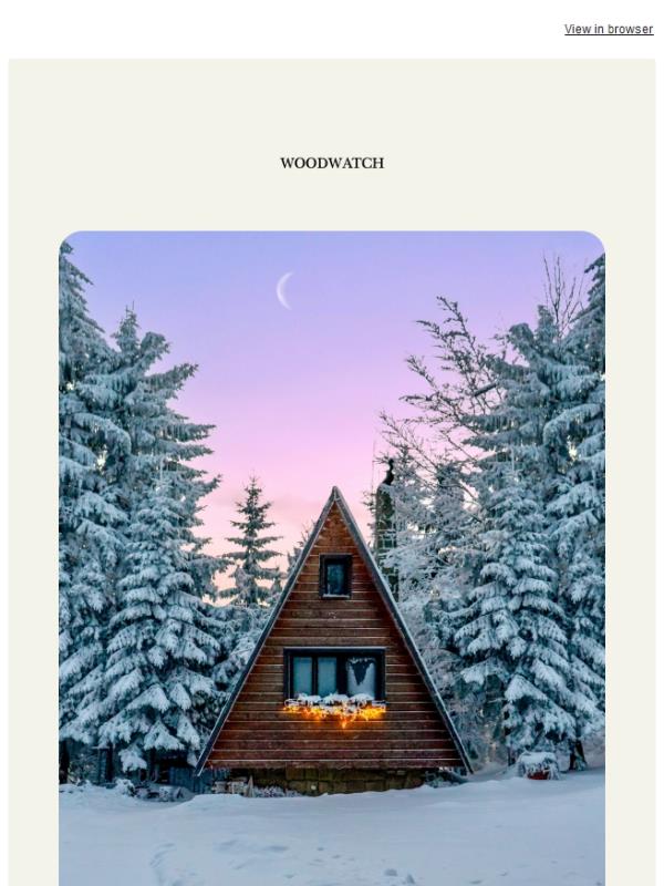 The Friday Pause: when winter asks us to slow ❄️