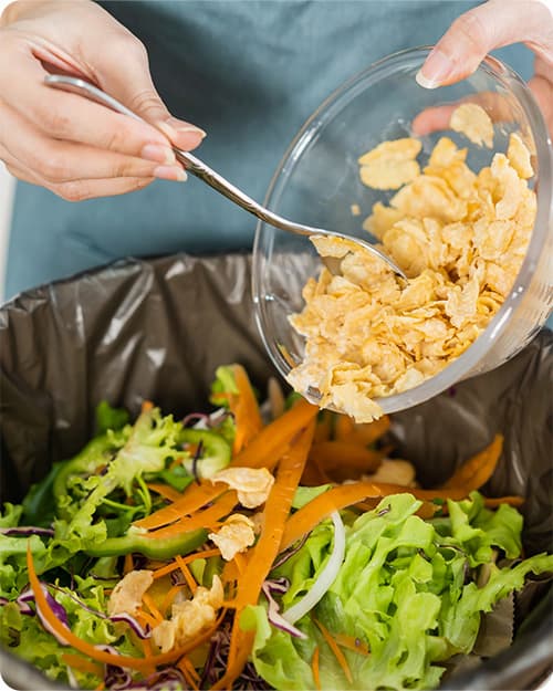 Immagine promozionale lunchbox