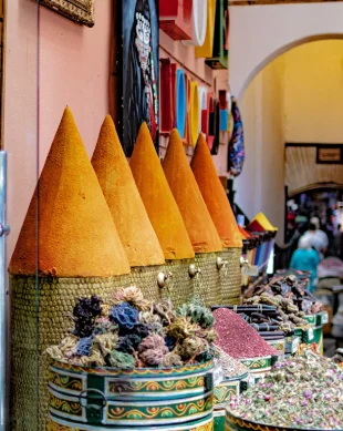 Scopri i sapori amati da chi è del posto